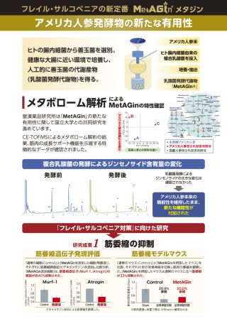 MetAGin®(メタジン) アメリカ人参 複合乳酸菌発酵 エキス末 株式会社皇漢薬品研究所 健康食品・サプリメントOEM・PB・原料