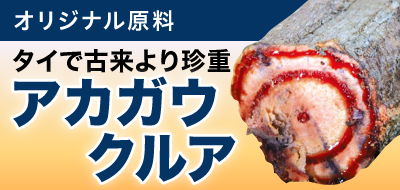 ボタン：アカガウクルア