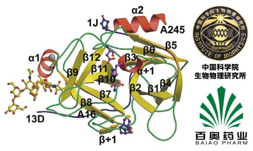 世界初 X線解析によるEFP（エイセニア・フェティダ・パウダー）の三次元構造