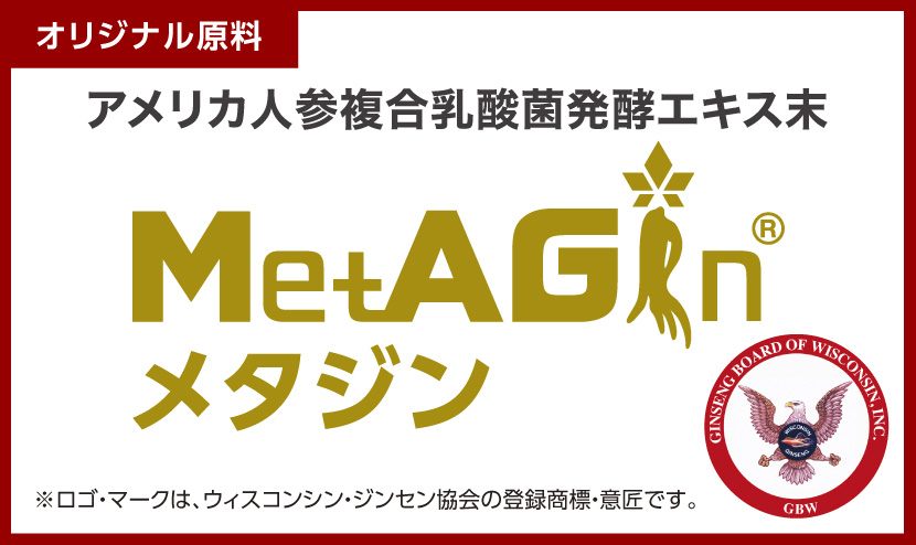 MetAGin®(メタジン)- アメリカ人参 複合乳酸菌発酵 エキス末